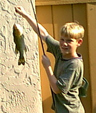 Fish.jpg (24479 bytes)