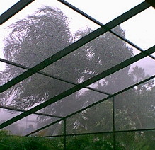 Palm11.jpg (24566 bytes)