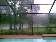 Pond85.jpg (18193 bytes)