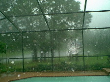 Pond9am.jpg (17579 bytes)